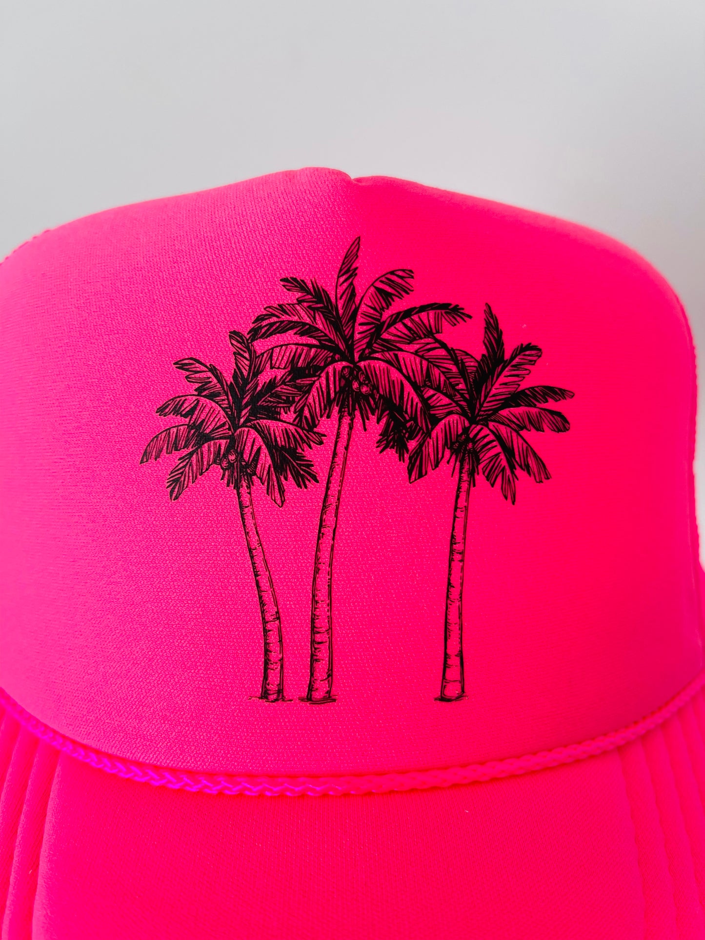 Palm Trees