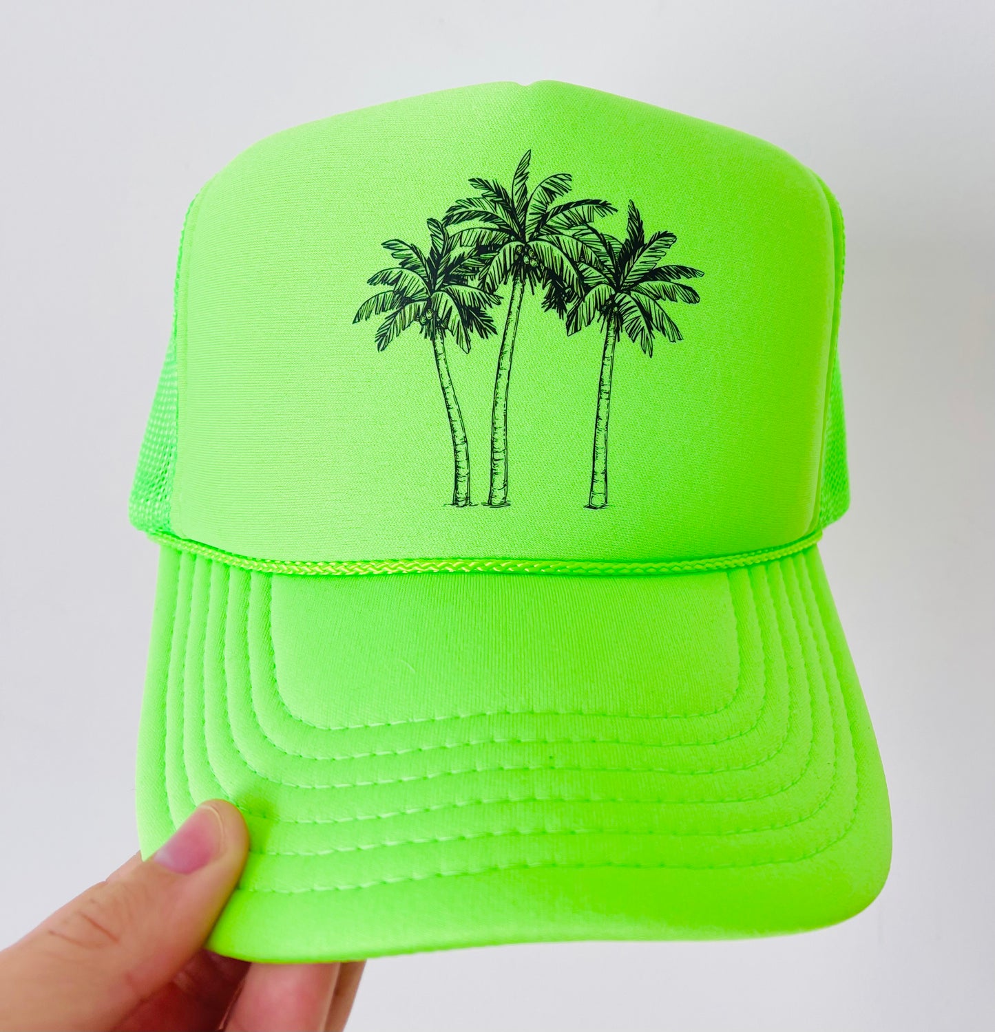 Palm Trees
