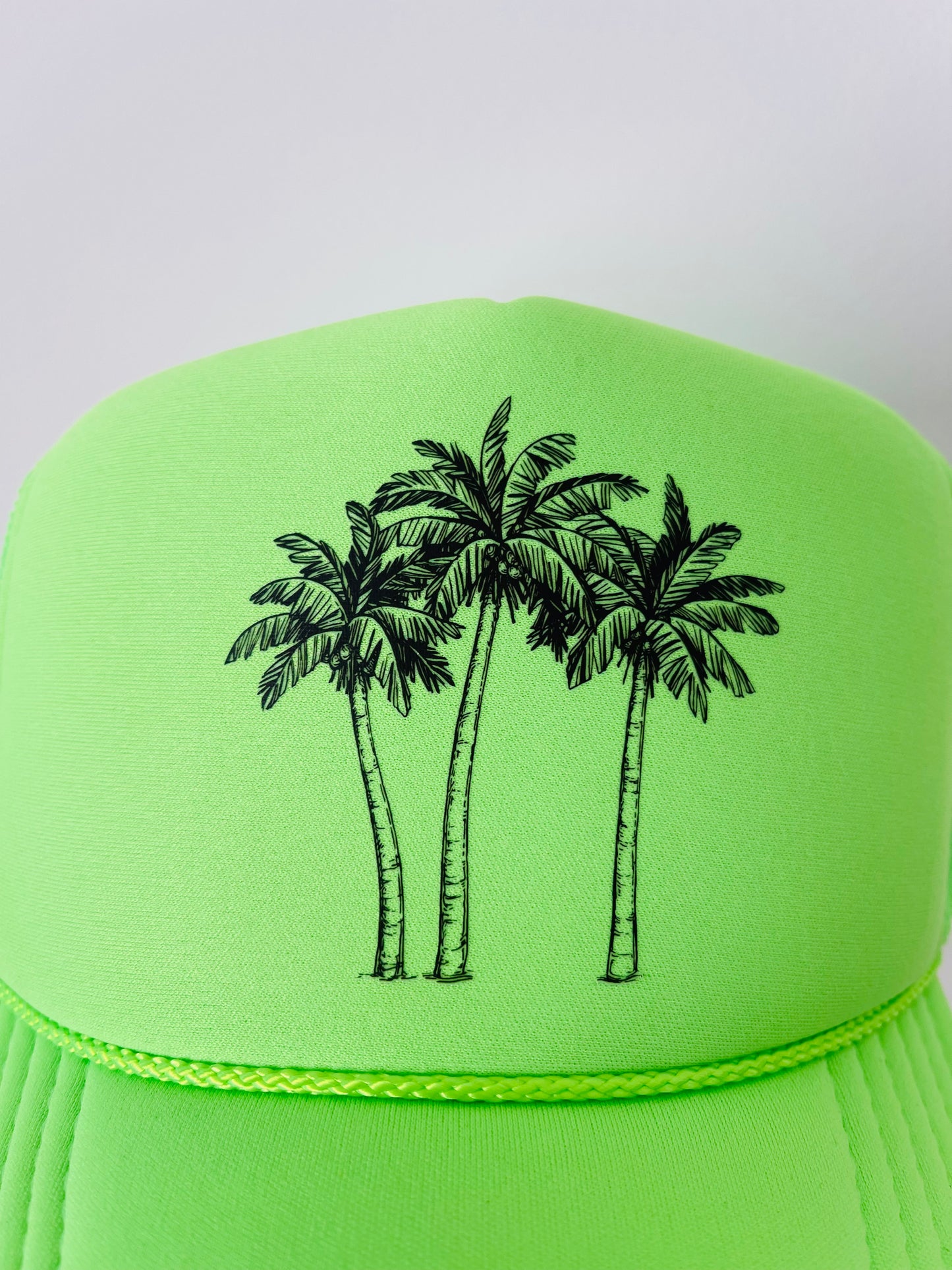 Palm Trees