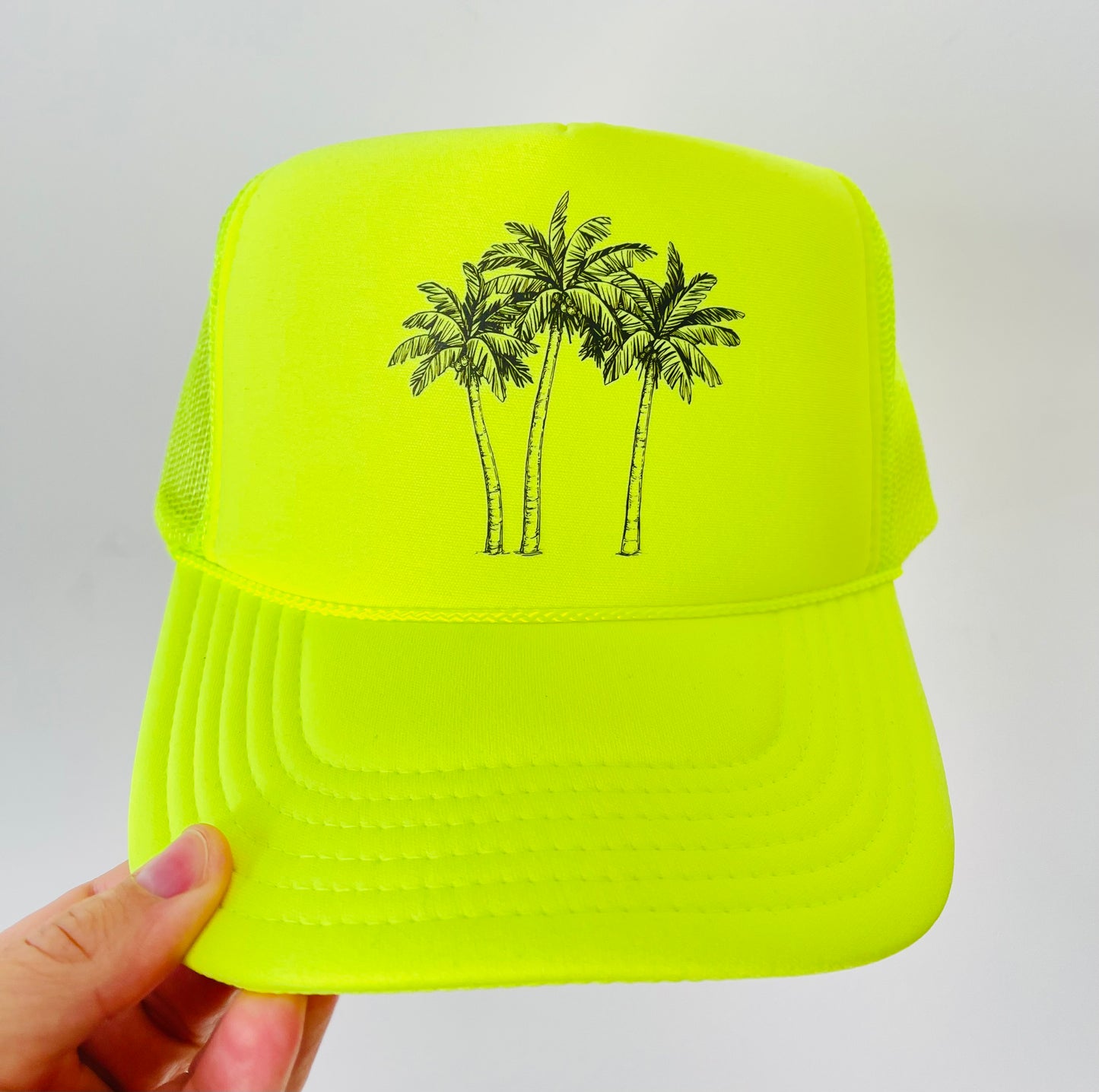 Palm Trees