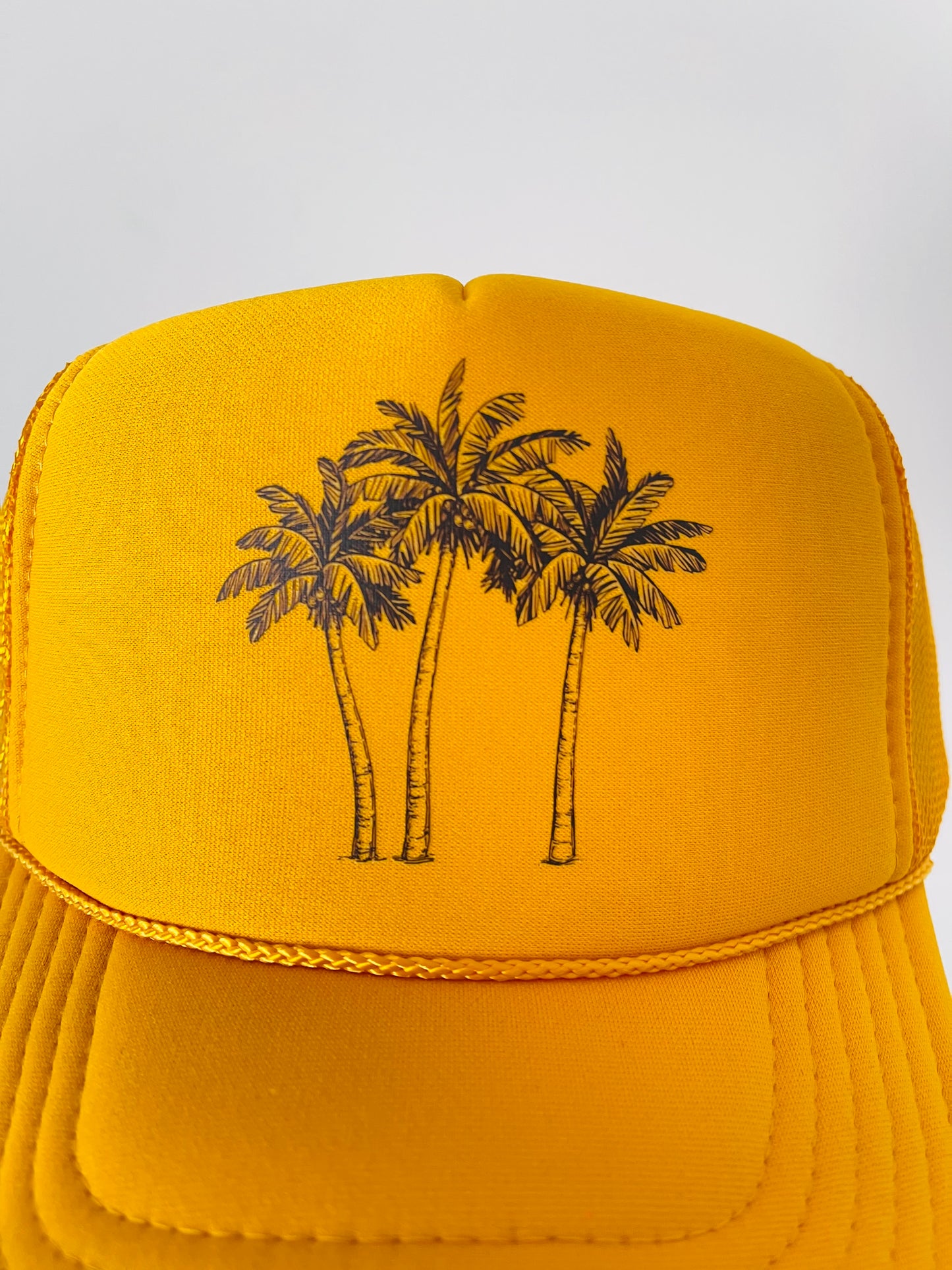 Palm Trees
