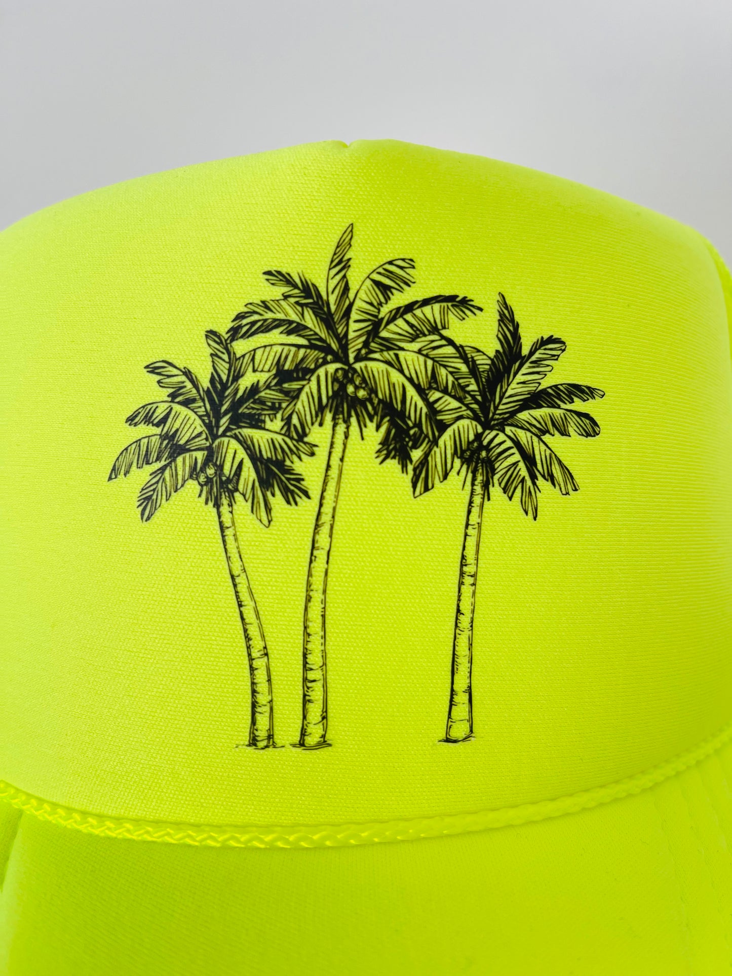 Palm Trees